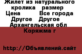 Жилет из натурального кролика,44размер › Цена ­ 500 - Все города Другое » Другое   . Архангельская обл.,Коряжма г.